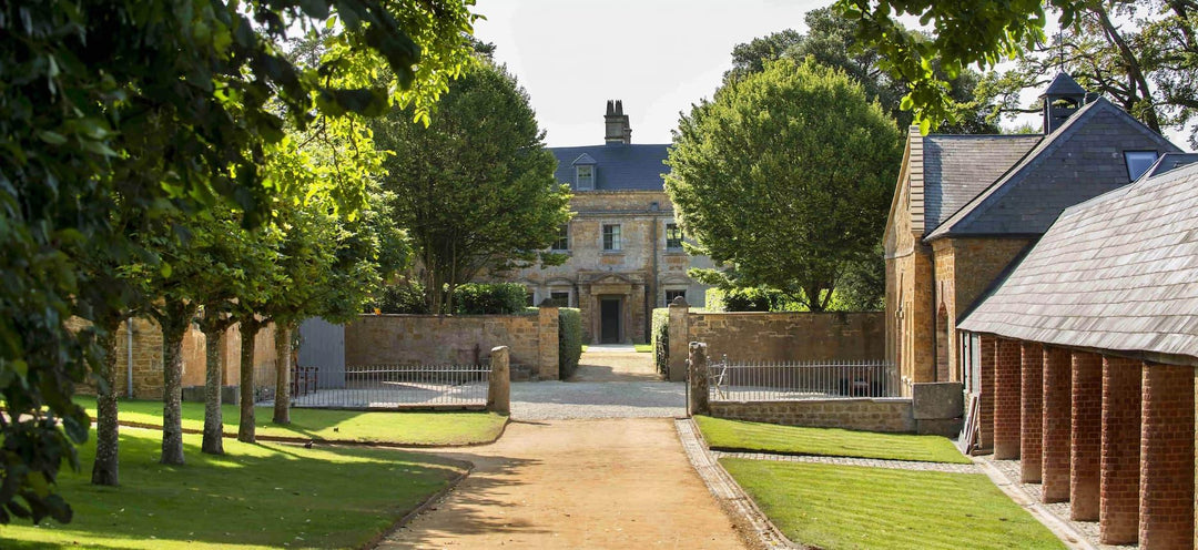 Exploring Bruton with Coco & Wolf - Coco & Wolf