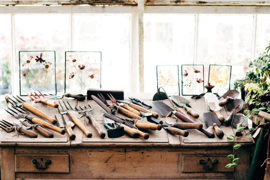 Spring Planting - Coco & Wolf