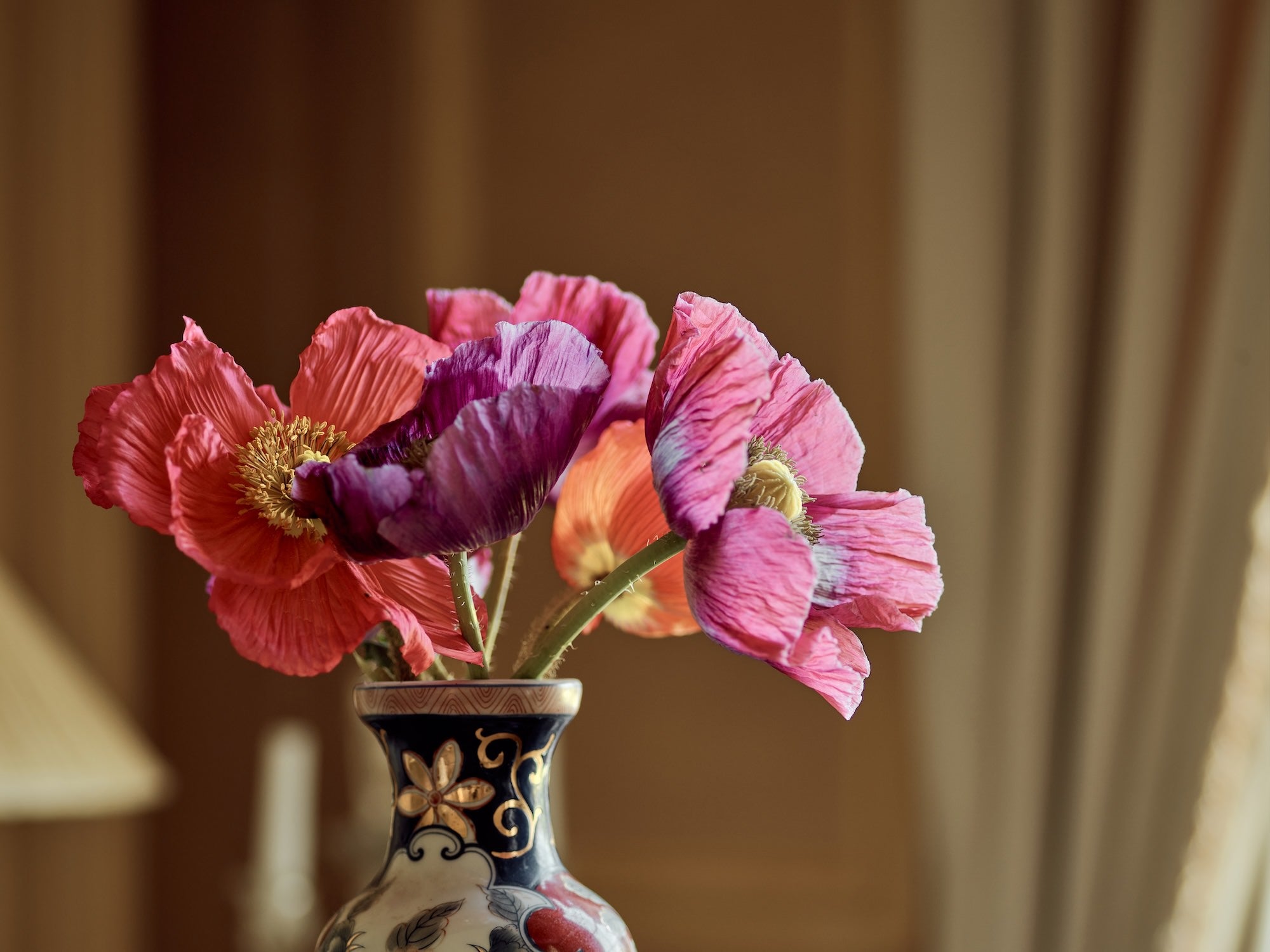 poppies in a vase in pinks and purples